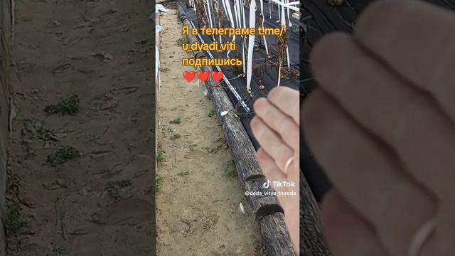 Сделал люстру для огурцов. Буду устанавливать. #сад #огород #дядявитя