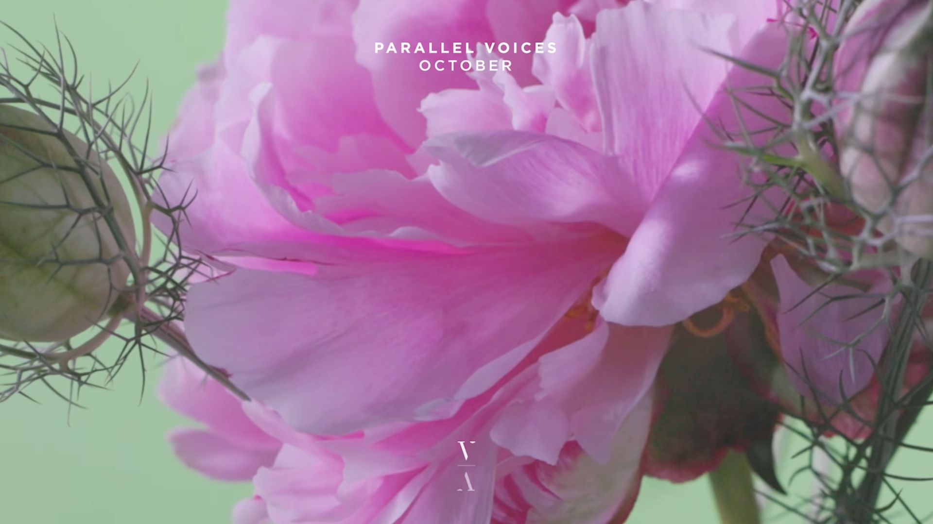 Parallel Voices - October смотреть онлайн