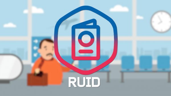 Ролик 02: Правила пользования приложением RuID и его функционал