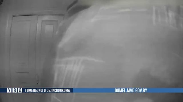 Пожар на частном подворье в Добруше. Милиционеры спасли пожилую женщину смотреть онлайн