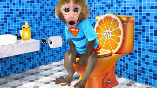 Мультики для детей. Обезьянка строит из конструктора красивый домик/видео про обезьянку