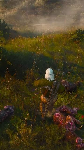 ГНИЛЕЦ НА РЕАКТИВНОЙ ТЯГЕ Я такого в The Witcher 3 смотреть онлайн
