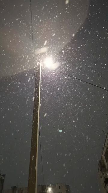 🌨️❄️Зимняя сказка под светом фонаря🏮💥 #зима #winter #снег #snow #прогулка #walk #вечер смотреть онлайн