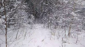 Дневник охотника. Трудный переход в зимовьё.День 18-ый.