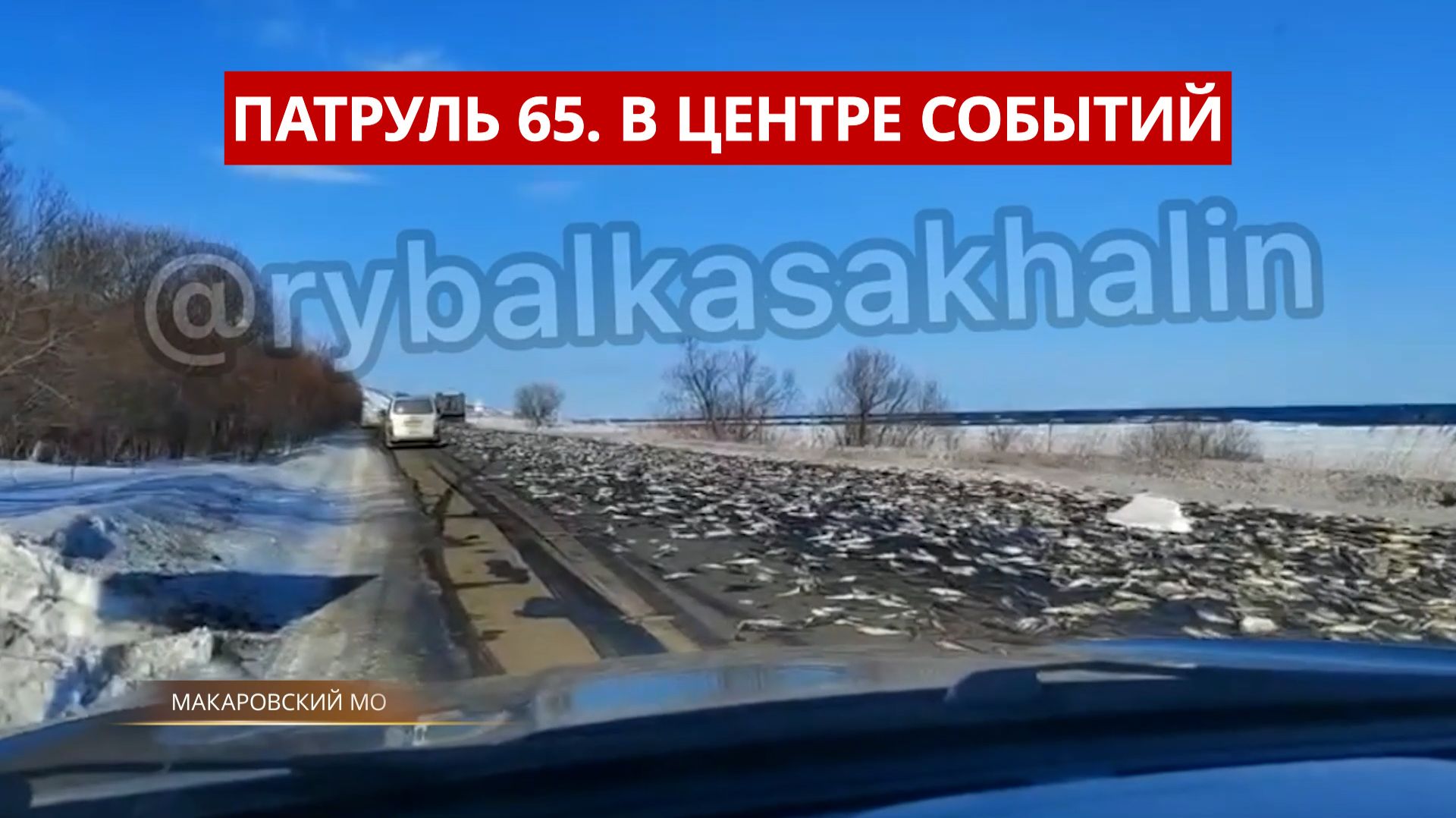 ПАТРУЛЬ 65. Банда браконьеров, навага на дороге и опасный лёд. Происшествия Сахалин и Курил 03.02.26 смотреть онлайн
