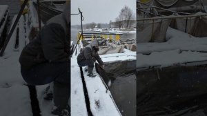 В гости приехали друзья из Китая