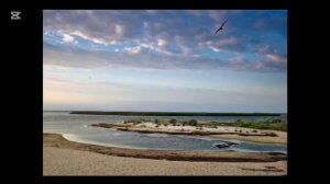 МБОУ Орловская СОШ № 1