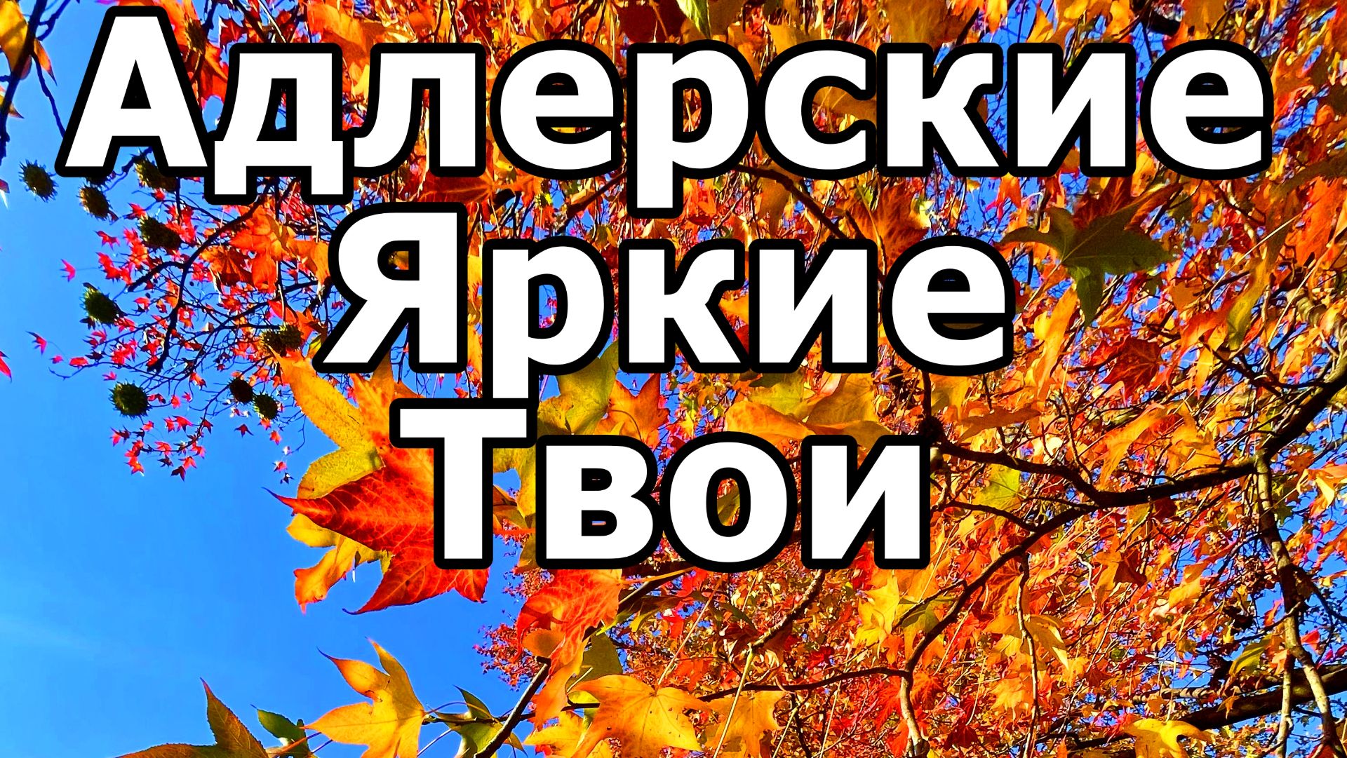 КРАСКИ ОСЕНИ В АДЛЕРЕ 2025! НОЯБРЬ. ПАРК "ЮЖНЫЕ КУЛЬТУРЫ". смотреть онлайн