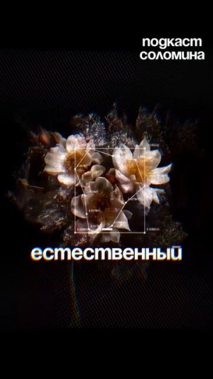 ИИ ЭТО НЕ РАЗУМ! | Глеб Соломин, Штерн