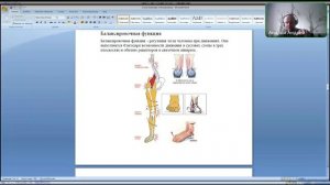 Вебинар: «Опорно двигательный аппарат. Анатомия строения заболевания, профилактика с IMPERIUM»