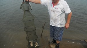 ЛОВИСЬ РЫБКА.