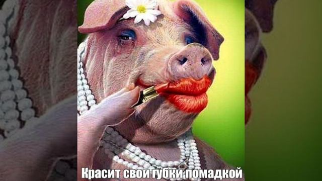 ОБЗОР ПОДКАСТ НА КАНАЛ Ж.П.И.Р.