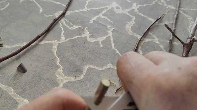 ,, Откуда мёрзнут черенки?,, смотреть онлайн