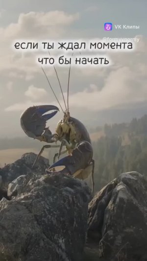 Момент настал
