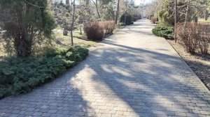 Анапа. Солнце и оттепель! Шикарный сквер Гудовича. 4 февраля 2026.