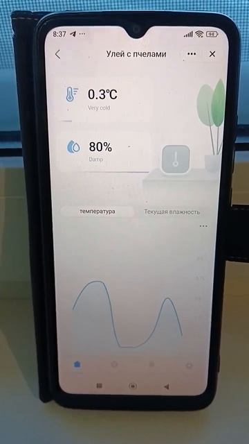 4 февраля 2026 года на улице -31 градус. Какая же температура в улье? смотреть онлайн