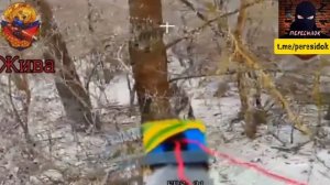 Зимнее сафари на ВСУшников