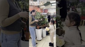 Мой первый блог😍 Побывала в магазине цветы и огород «Сад Софико» Ольги Птицыной🤍