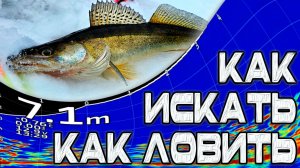 КАК ИСКАТЬ. КАК ЛОВИТЬ СУДАКА. Ловля судака с Panoptix