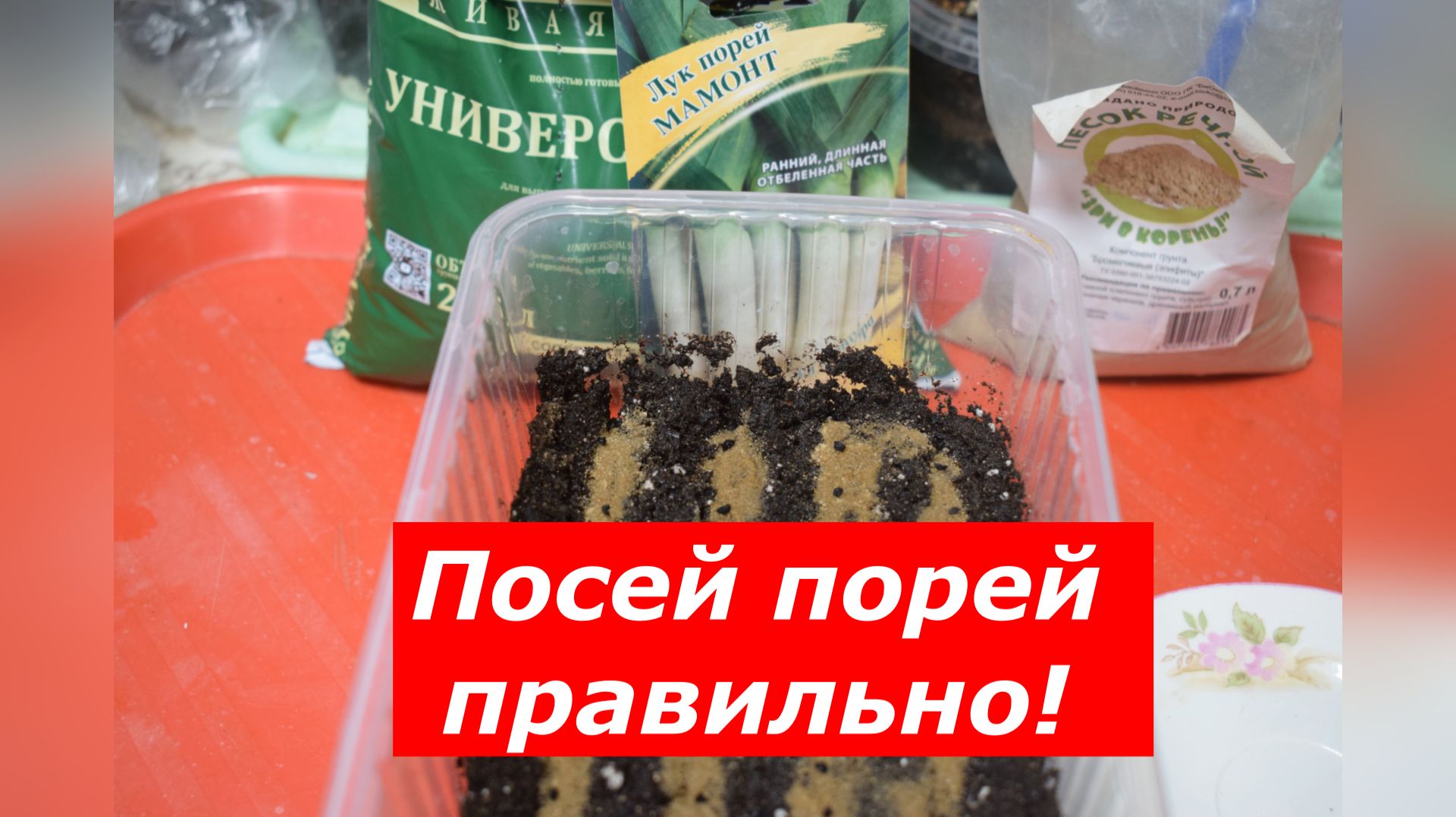 Лук-порей на рассаду: пошаговая инструкция смотреть онлайн