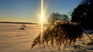 Водохранилище в феврале
