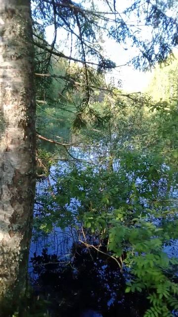 Красота Карельского перешейка