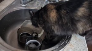 А ТАК ВКУСНЕЕ