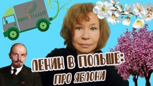 Декоративные яблони, новинки сезона 2021, острый репортаж, телемост с Варшавой