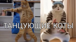 Сборник танцующих котов