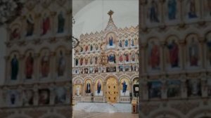 Я по жизни своей