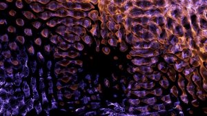 медитация ИЗБАВЛЕНИЕ ОТ БЕССОННИЦЫ | Настройка на ЗДОРОВЫЙ СОН