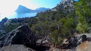 Дикие пляжи привлекают всё больше и больше. Тишина и спокойствие. Январь 2026.