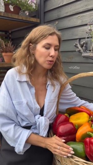 Пришло время сеять перцы 🌶️ Обзор лучших сортов для огорода