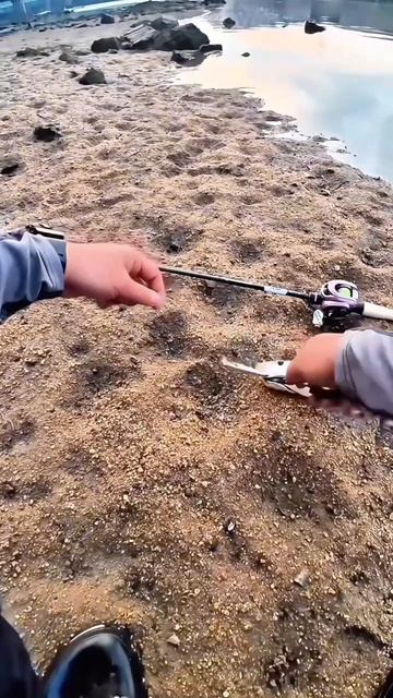 Можно поймать что угодно, кроме рыбы смотреть онлайн