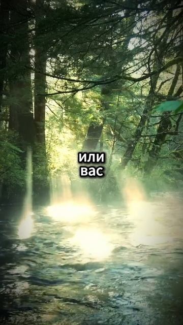 Все испытания нужно пройти смотреть онлайн