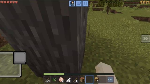 Я играю в майн