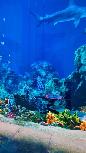 Новая локация Кроличья нора в Парке Галицкого