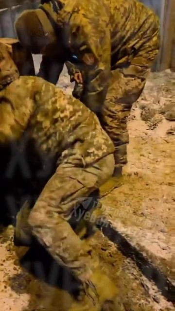 ТЦК лютует.