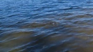 РЫБАЧКА ОТ БОГА!