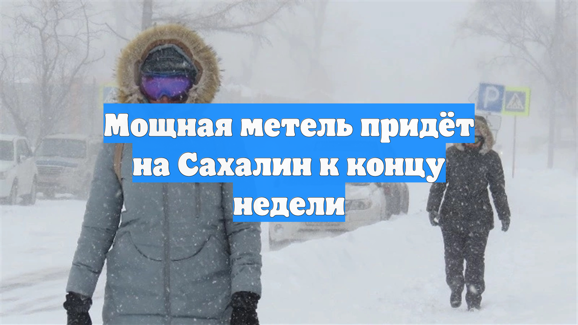Мощная метель придёт на Сахалин к концу недели смотреть онлайн