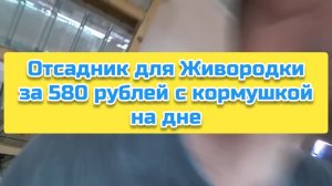 Отсадник для Живородки за 580 рублей с кормушкой на дне