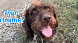 ❤️Зря порой на мужа обижаюсь/ Мы в своем репертуаре