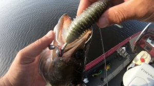 Огромные щуки в Карелии. Попал на жор огромных щук. 2025