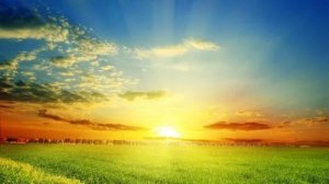 Крылья счастья