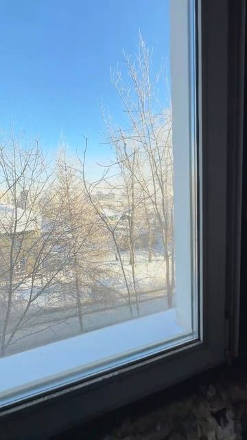 Чайковского 4