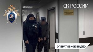 Предъявлено обвинение фигуранту уголовного дела об убийстве водителя такси в Москве