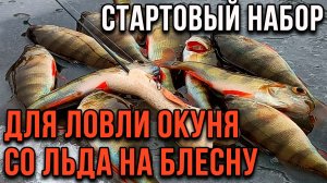Набор для ловли окуня со льда с легкими блеснами