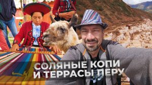 Путешествие вглубь Перу. Белая альпака, фиолетовая кукуруза и розовая соль.