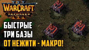 Быстрые три базы от Нежити - Макро: Starbuck (Ud) vs Jens (Orc) Warcraft 3 Reforged