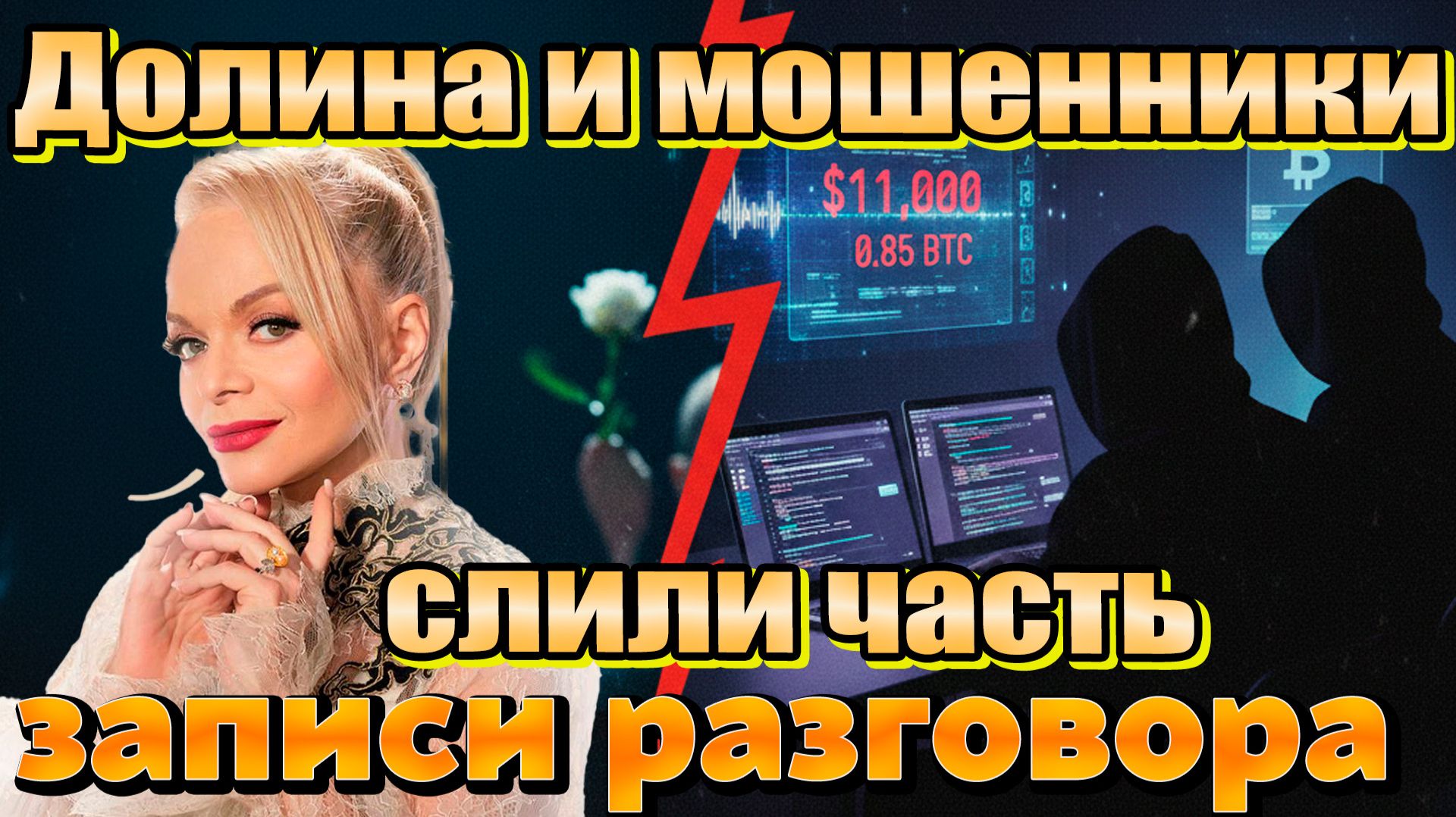 Что Лариса Долина наговорила мошенникам за 6 часов? Слиты часть разговора. Цена записи-850 000 руб! смотреть онлайн